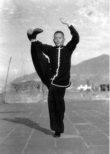 Ying Jow Pai - Escola de Arte e Dança | Kung Fu Porto Alegre